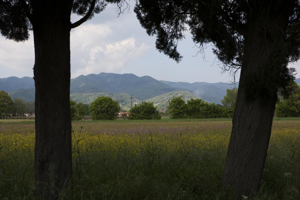 Agriturismo La Topaia Borgo San Lorenzo Exterior foto